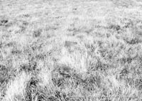 AP1-88 hovercraft during trial flights